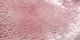 Ashrose