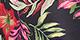 Black Palm