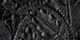 Black Tooled