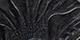 Black Tooled