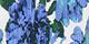 Blue Multi