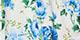 Blue Multi