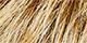 Brown Blonde