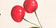 Cherry Dot