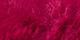 Cherry Wine