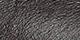 Chocolate Plum