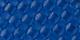 Cornflower