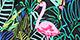 Flamingo Palms