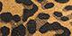 Leopard Tobacco
