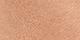 Light Taupe