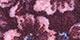 Maroon Floral