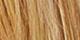 Medium Blonde