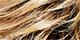 Medium Blonde Rooted