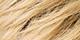 Medium Blonde Rooted