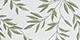 Olive Vines