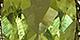 Peridot