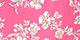 Pink Sketch Floral