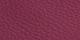 Purple Leaf