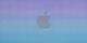Purple/Blue