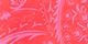 Red Fuchsia Paisley