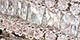 Silvertone