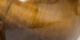 Tigers Eye
