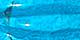 Turquoise Color