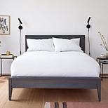 Linen Closet Set Di Lenzuola In Cotone 400TC Queen Grey - Tecnologia Allergen Pro, True Grip Fit