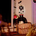 image 8 of 8