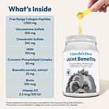Joint Benefits for Dogs - 120 servings