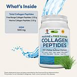 Marine and Free Range Collagen Peptides with MSM - 120 Servings