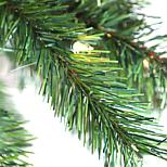 image 2 of 5