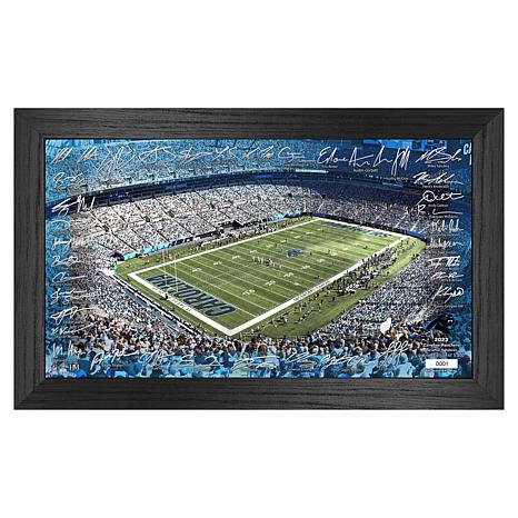 Carolina Panthers Bank of America Stadium LIMITED EDITION Painting