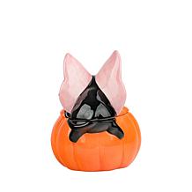 10 Strawberry Street Kitty-fly Jack O' Lantern Canister