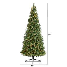 10’ Wisconsin Slim Snow Tip Pine  Christmas Tree