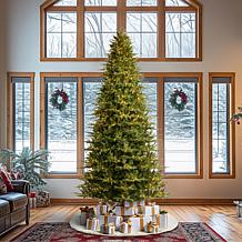 11ft Pre-Lit Green Full Fir Christmas Tree with Lights