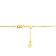 14K Gold Adjustable 22" Box Chain