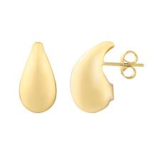 14K Gold Polished Free-Form Earrings