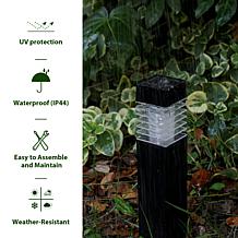 15.25"H Set of 6 Solar Powered Transparent Lens Pathway Stake Light