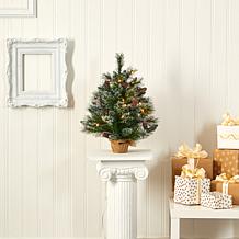 2 ft. Frosted Pine Artificial Christmas Tree with 35 Clear LED Ligh...