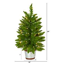 2 ft. Providence Pine Artificial Christmas Tree in Decorative Plant...
