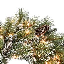 24" Premium Decorated Wreath - 50 Clear Lights