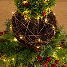 3-ft Boxwood Ornament Christmas Tree by Nearly Natural