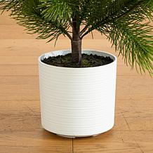 3-ft Real Touch Masson Pine Christmas Tree by Nearly Natural