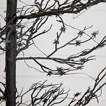 4-ft Pre-Lit Spider Twig Tree with 100 Lights by Nearly Natural