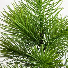 4-ft Real Touch Masson Pine Christmas Tree by Nearly Natural