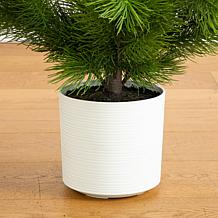 4-ft Real Touch Masson Pine Christmas Tree by Nearly Natural