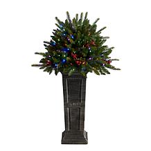 4' Holiday  Christmas Plant Pre-Lit and Glittered on Pedestal