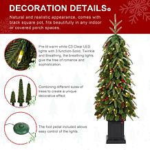 4' Pre-lit Green Artificial Christmas Porch Tree w/ Warm White Lights