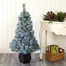 4' Snowy Mountain Pine Artificial Christmas Tree with 150 LED Light...